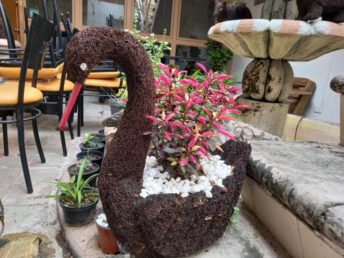 Kia Kat Hotel San Miguel de Allende Eksteriør billede